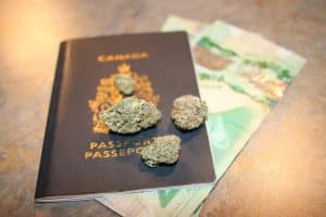 Trying to Travel with Cannabis Is Not Worth the Risk 